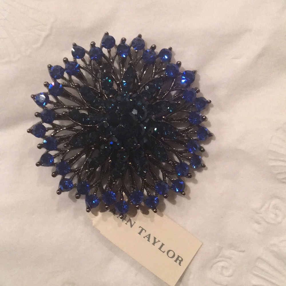 Ann Taylor brooch